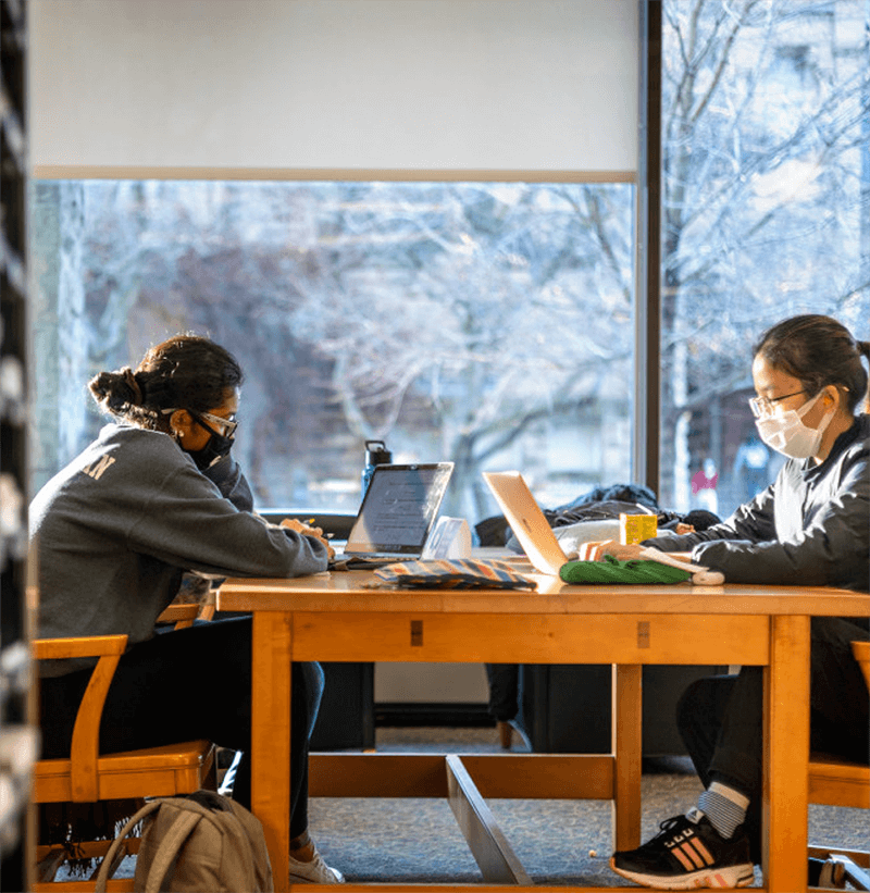 This image shows two students studying and working in a university library by a sunny window.